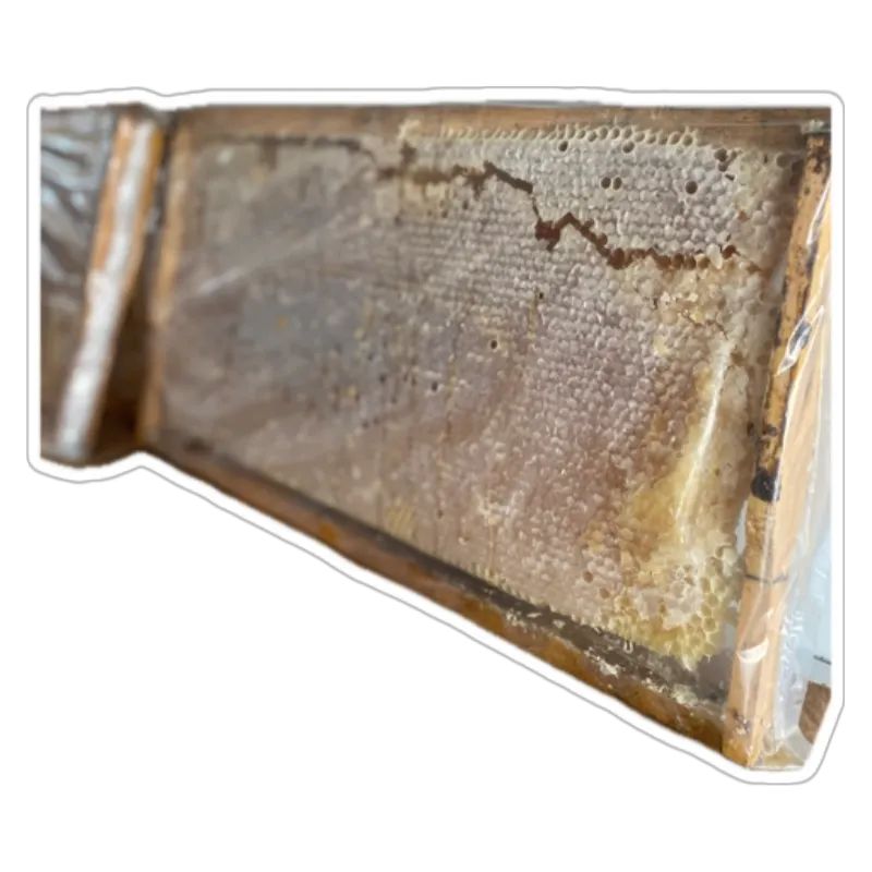 Erzincan-Petek-Bal-1-Kg